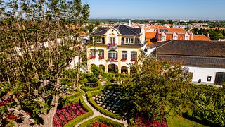 Península of Setúbal: Guided Tour at José Maria Da Fonseca Manor House with Special Moscatel de Satúbal Winetasting