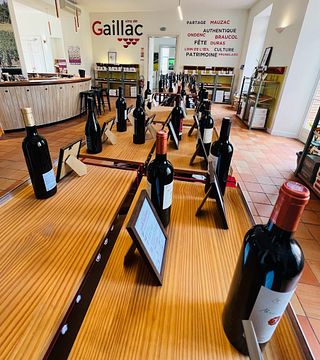 Tour del vino Esperienza nei vigneti del sud-ovest - Tolosa