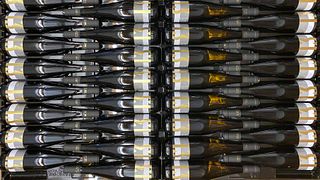 Dégustation de vins et visite du domaine Weingut Reef