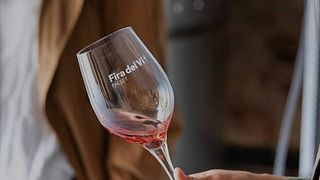 Catalonia's Priorat Wine Journey at Terres De Vidalba