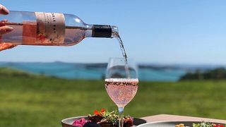 Auckland’s Cable Bay Vineyard Tour & Tasting