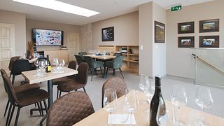 Experiência superior de degustação de vinhos com visita à adega | Tóth Ferenc Pincészet