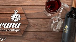 Cata de vinos en Barbacana