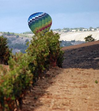 Degustazione di vini e visita alle Bodegas Comenge