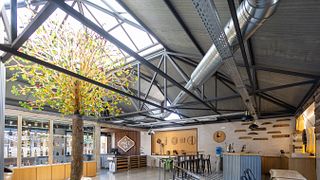 Visita guiada à Cooperativa da Toneleria Antonio Paez Lobato