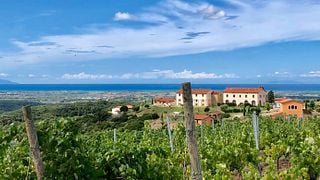 Tenuta Pakravan Papi