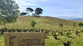 Dégustation de vins haut de gamme et visite à Cantariña Vinos de Familia