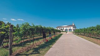 Urlaub in Asolo im Progress Country and Wine House