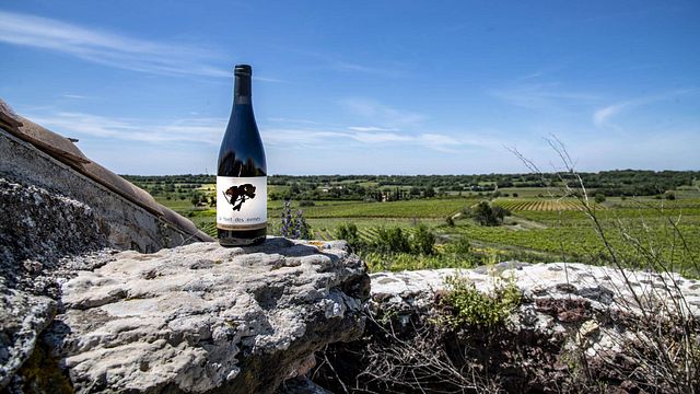 Wine Tasting and Tour at Château La Font Des Ormes