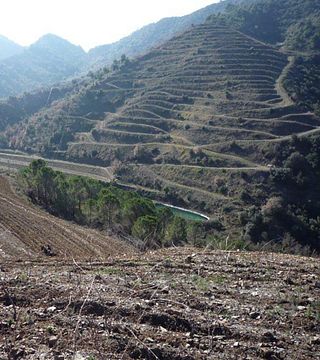 Celler Nin Ortiz: A Unique Winery in Catalonia