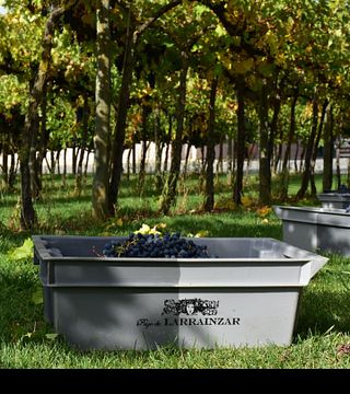 Pago De Larrainzar Winery