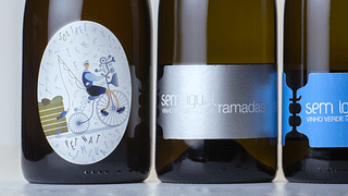 Cata de vinos clásicos y burbujas con historia en 100Igual