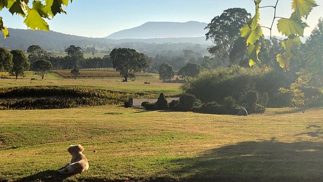 Rusty Fig Wines