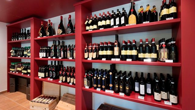 Degustação de vinhos e tour em Salvano