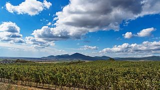 Weintouren in der Weinregion Tokaj 