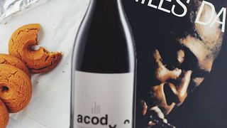 Rioja Wine Journey at Bodegas Basilio Izquierdo