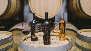 Lantlig vinprovning på Krolo Winery