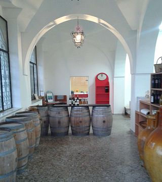 Dégustation de vins et visite à San Martino ColucciVini