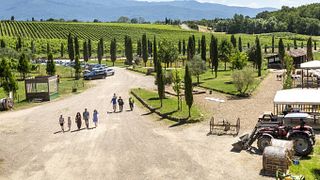 Dégustation d'huiles et de vins à la Fattoria La Palagina