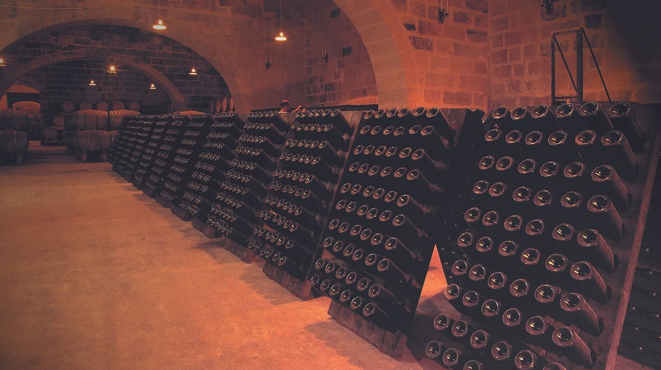 Marsovin: Malta’s Timeless Wine & Cellar Journey