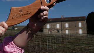 Immersion gastronomique : visite, dégustation et déjeuner au champagne