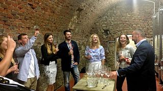 Degustação de vinhos e tour na vinícola Habsburg