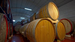 Dégustation et visite de vins chez Alagna Vini