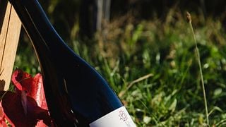 Degustação de Vinhos no Weingut Sommerhalter