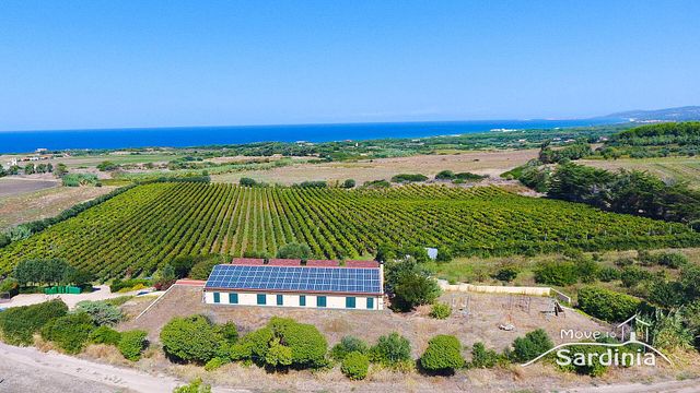 Esplora Cantina Ligios: passeggiata nei vigneti e degustazione di 6 vini