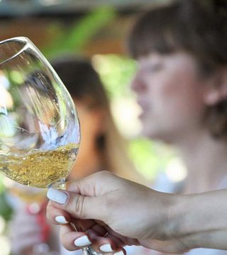 IBERIULI Premium Wine Tasting at Shumi Winery