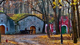 Lantlig vinprovning från Budapest