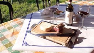 Cata de vinos y tour en Romana Carlo Azienda Agricola