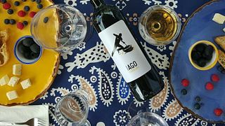 Degustazione di vini presso la Cantina Iago