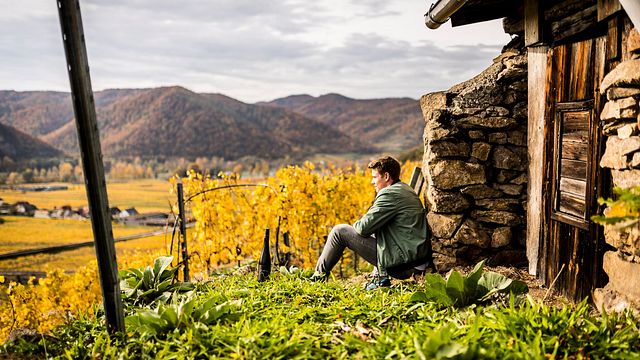 Visite et dégustation au Weingut Gattinger