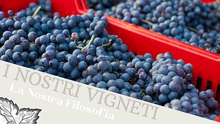 Degustazione Vini a Garesio