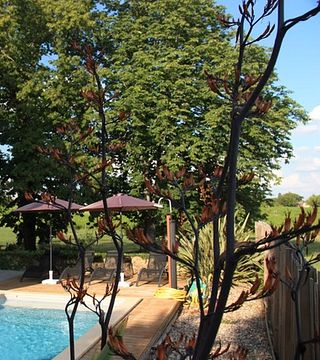 Vignobles Famille Cassy