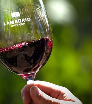 El Elegido - Cata de vinos en Lamadrid Estate Wines