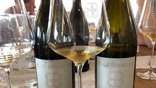 Cata de vinos en Weingut Birgit Braunstein