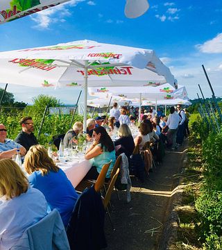 Degustação de vinhos em Weingut Kopp