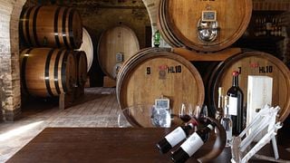 Degustação de cinco vinhos no Celestino Pecci