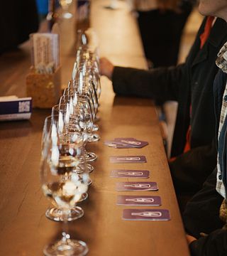 South Australia Wine Terroir Tasting Adventure