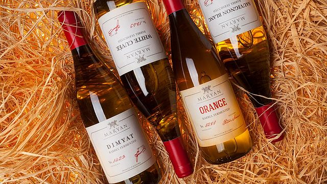 Experiências de degustação de vinhos na vinícola Maryan