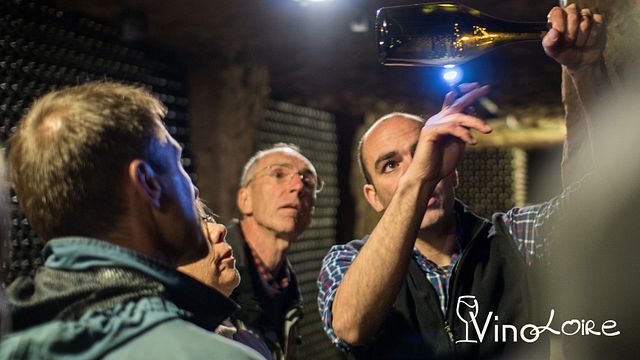Eftermiddags Loiredalens vintur från Tours