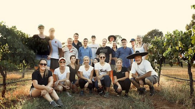 Brokenwood Wines