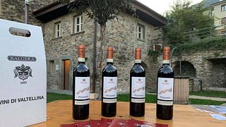 La Bodega Balgera