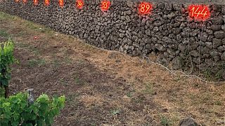 Saveurs du volcan Vins, pains et fromages au déjeuner | Sciaranuova Etna