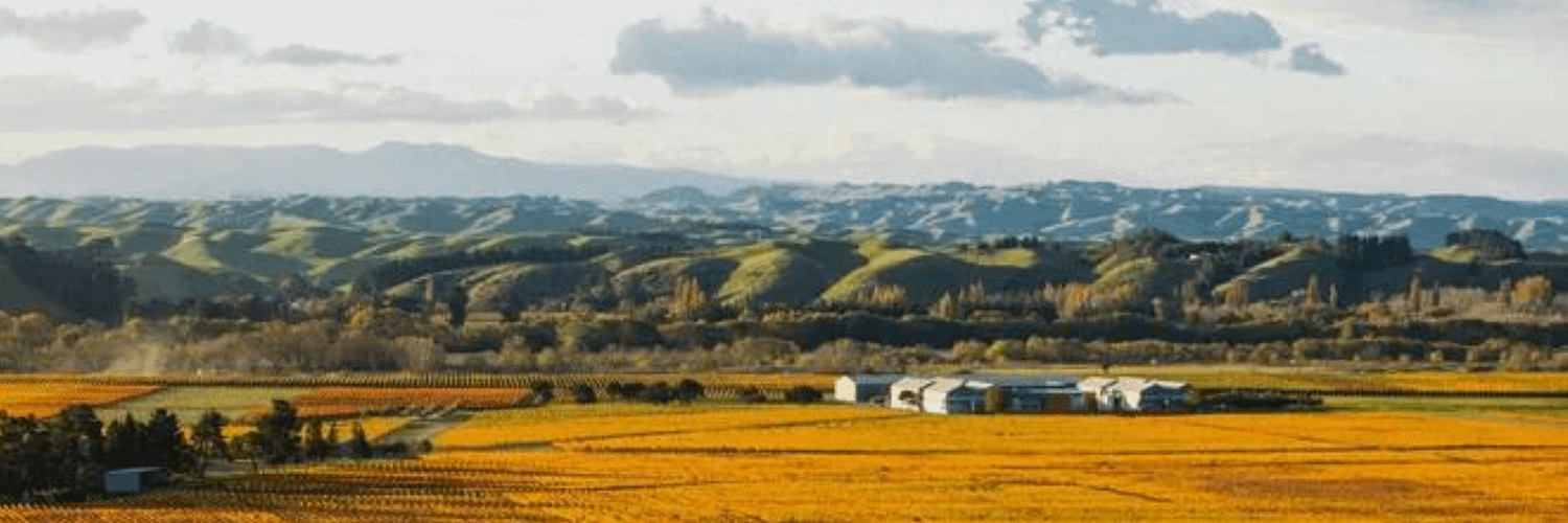 Gimblett Gravels