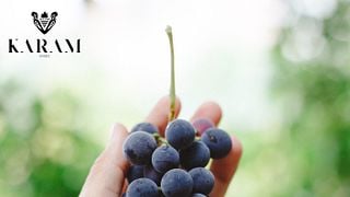 Degustazione di vini di livello 2 presso Karam Wines