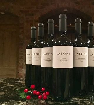Behind the Label - Degustação de vinhos e tour