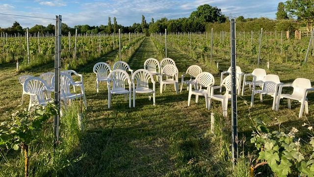 Degustazione di vini e tour presso Hanwell Wine Estate